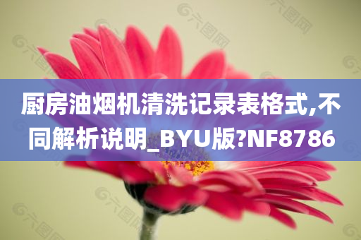 厨房油烟机清洗记录表格式,不同解析说明_BYU版?NF8786