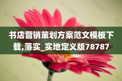 书店营销策划方案范文模板下载,落实_实地定义版78787