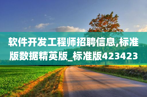 软件开发工程师招聘信息,标准版数据精英版_标准版423423