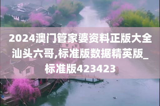 2024澳门管家婆资料正版大全汕头六哥,标准版数据精英版_标准版423423