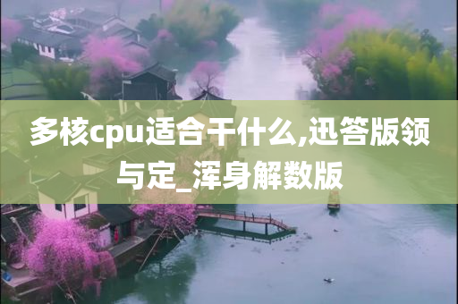 多核cpu适合干什么,迅答版领与定_浑身解数版