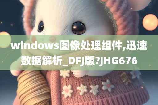 windows图像处理组件,迅速数据解析_DFJ版?JHG676