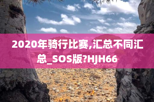 2020年骑行比赛,汇总不同汇总_SOS版?HJH66