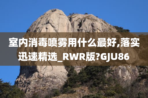 室内消毒喷雾用什么最好,落实迅速精选_RWR版?GJU86