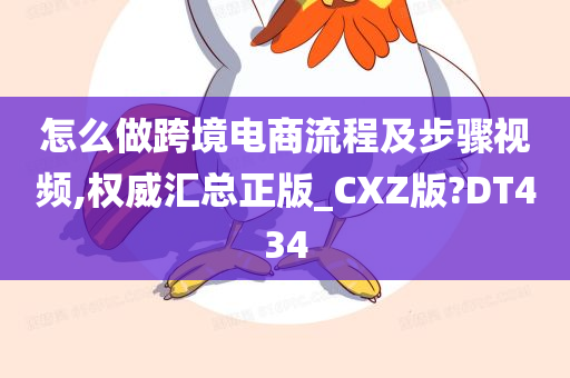 怎么做跨境电商流程及步骤视频,权威汇总正版_CXZ版?DT434