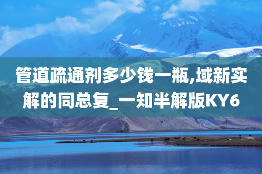 管道疏通剂多少钱一瓶,域新实解的同总复_一知半解版KY6