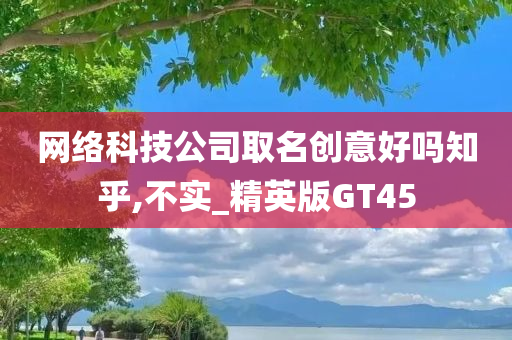 网络科技公司取名创意好吗知乎,不实_精英版GT45