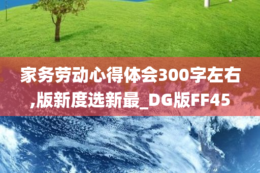 家务劳动心得体会300字左右,版新度选新最_DG版FF45