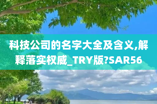 科技公司的名字大全及含义,解释落实权威_TRY版?SAR56