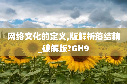 网络文化的定义,版解析落结精_破解版?GH9