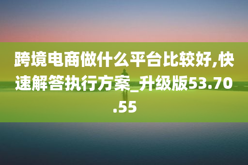 跨境电商做什么平台比较好,快速解答执行方案_升级版53.70.55