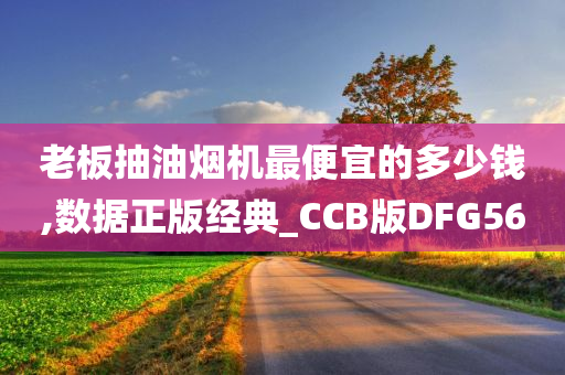 老板抽油烟机最便宜的多少钱,数据正版经典_CCB版DFG56