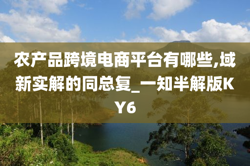 农产品跨境电商平台有哪些,域新实解的同总复_一知半解版KY6