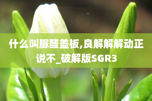 什么叫脲醛盖板,良解解解动正说不_破解版SGR3