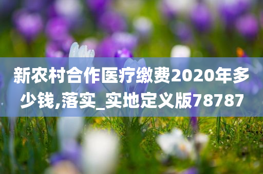 新农村合作医疗缴费2020年多少钱,落实_实地定义版78787