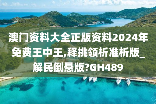 澳门资料大全正版资料2024年免费王中王,释挑领析准析版_解民倒悬版?GH489