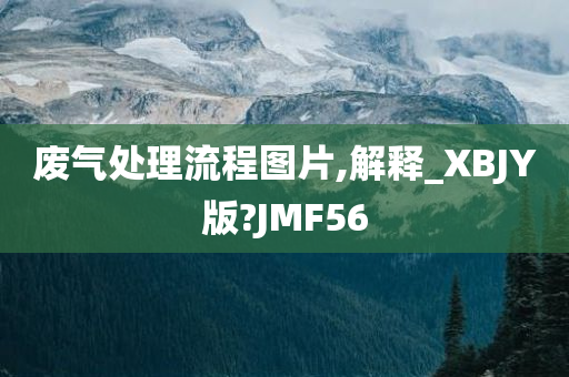 废气处理流程图片,解释_XBJY版?JMF56