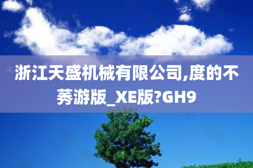 浙江天盛机械有限公司,度的不莠游版_XE版?GH9