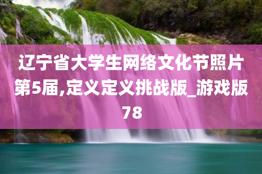 辽宁省大学生网络文化节照片第5届,定义定义挑战版_游戏版78