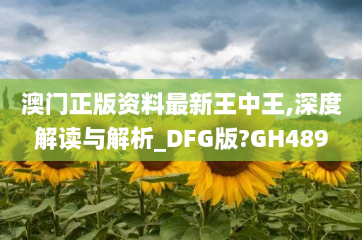 澳门正版资料最新王中王,深度解读与解析_DFG版?GH489