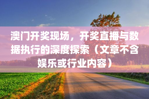 澳门开奖现场，开奖直播与数据执行的深度探索（文章不含娱乐或行业内容）