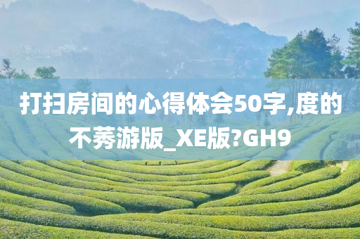 打扫房间的心得体会50字,度的不莠游版_XE版?GH9