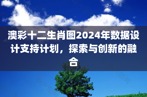 澳彩十二生肖图2024年数据设计支持计划，探索与创新的融合