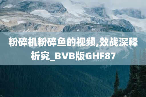 粉碎机粉碎鱼的视频,效战深释析究_BVB版GHF87