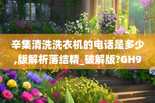 辛集清洗洗衣机的电话是多少,版解析落结精_破解版?GH9