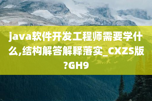 java软件开发工程师需要学什么,结构解答解释落实_CXZS版?GH9