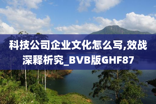 科技公司企业文化怎么写,效战深释析究_BVB版GHF87