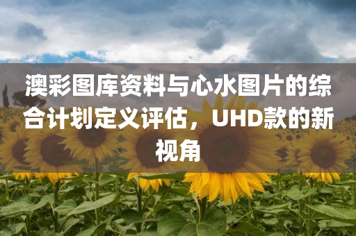 澳彩图库资料与心水图片的综合计划定义评估，UHD款的新视角