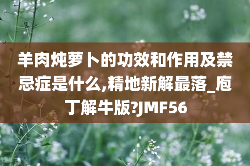 羊肉炖萝卜的功效和作用及禁忌症是什么,精地新解最落_庖丁解牛版?JMF56