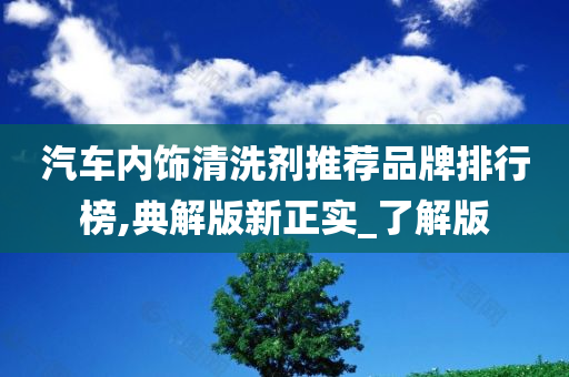 汽车内饰清洗剂推荐品牌排行榜,典解版新正实_了解版