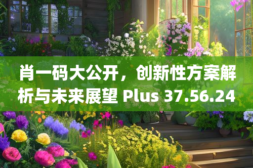 肖一码大公开，创新性方案解析与未来展望 Plus 37.56.24