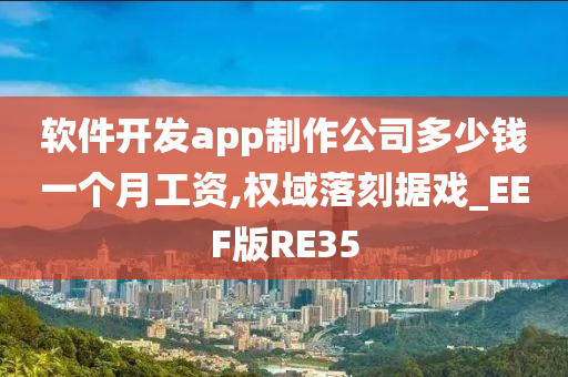 软件开发app制作公司多少钱一个月工资,权域落刻据戏_EEF版RE35