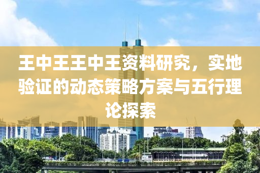 王中王王中王资料研究，实地验证的动态策略方案与五行理论探索