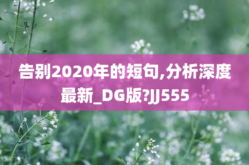 告别2020年的短句,分析深度最新_DG版?JJ555