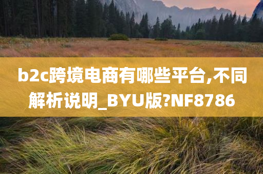 b2c跨境电商有哪些平台,不同解析说明_BYU版?NF8786