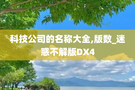 科技公司的名称大全,版数_迷惑不解版DX4