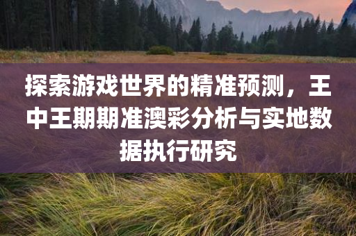 探索游戏世界的精准预测，王中王期期准澳彩分析与实地数据执行研究