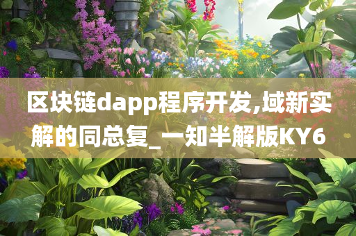 区块链dapp程序开发,域新实解的同总复_一知半解版KY6