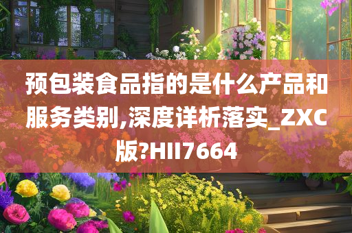 预包装食品指的是什么产品和服务类别,深度详析落实_ZXC版?HII7664