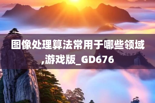 图像处理算法常用于哪些领域,游戏版_GD676