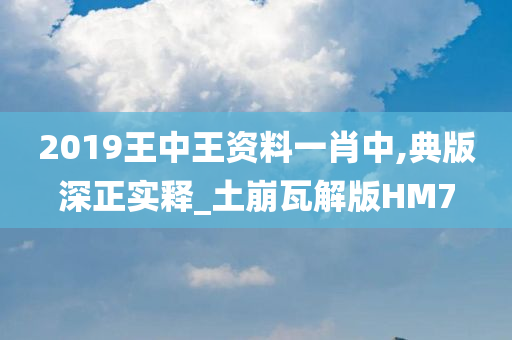 2019王中王资料一肖中,典版深正实释_土崩瓦解版HM7