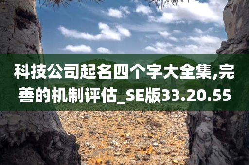 科技公司起名四个字大全集,完善的机制评估_SE版33.20.55