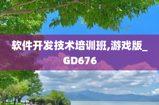 软件开发技术培训班,游戏版_GD676