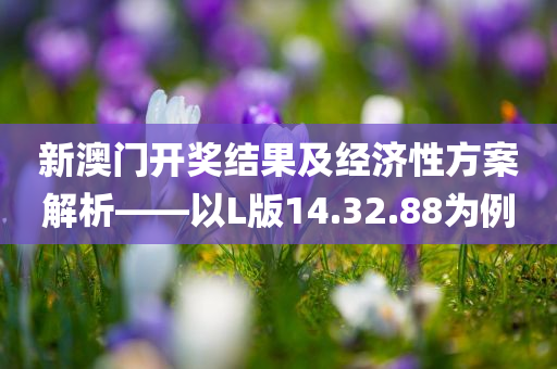 新澳门开奖结果及经济性方案解析——以L版14.32.88为例