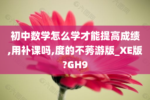 初中数学怎么学才能提高成绩,用补课吗,度的不莠游版_XE版?GH9