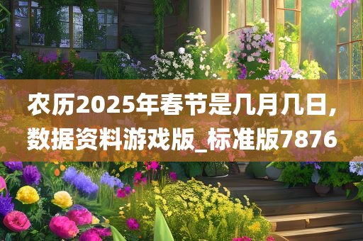 农历2025年春节是几月几日,数据资料游戏版_标准版7876